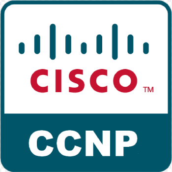 CCNP Training in delhi
