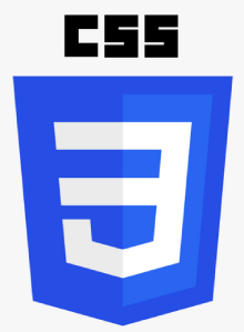 CSS Training in cochin