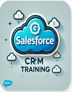 SalesForce Training in hyderabad